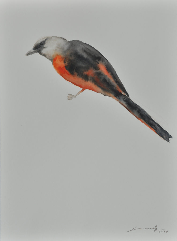 许峰 XU FENG的作品