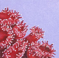 许晋瑜 XU JINYU的作品