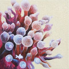 许晋瑜 XU JINYU的作品