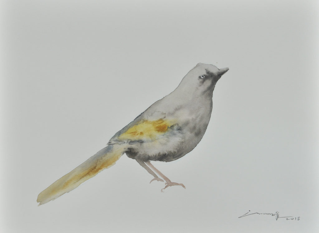 许峰 XU FENG的作品