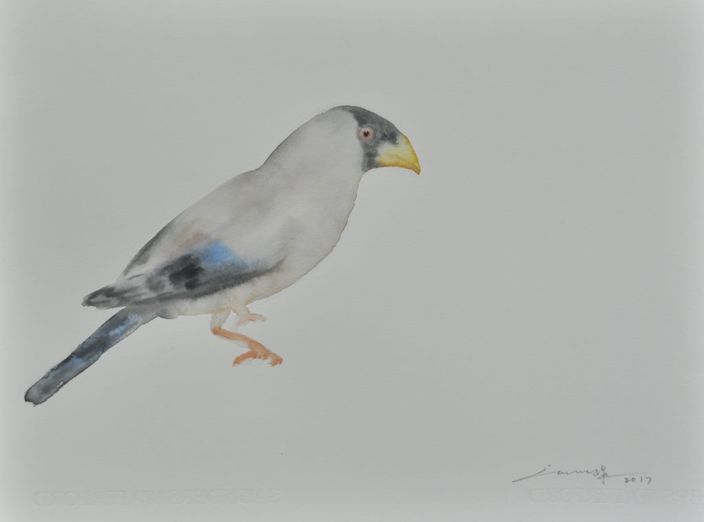 许峰 XU FENG的作品