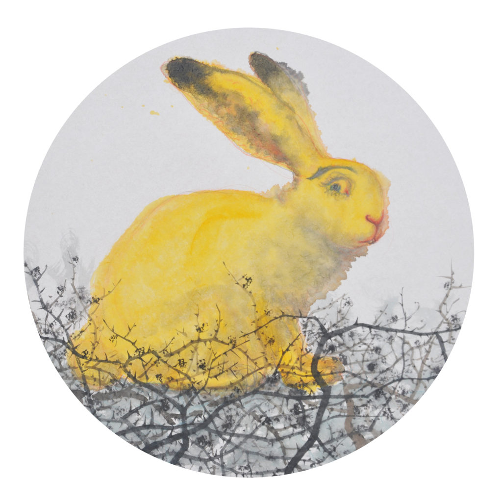 许峰 XU FENG的作品