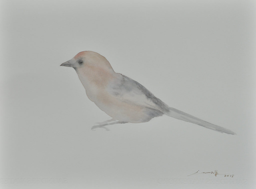 许峰 XU FENG的作品