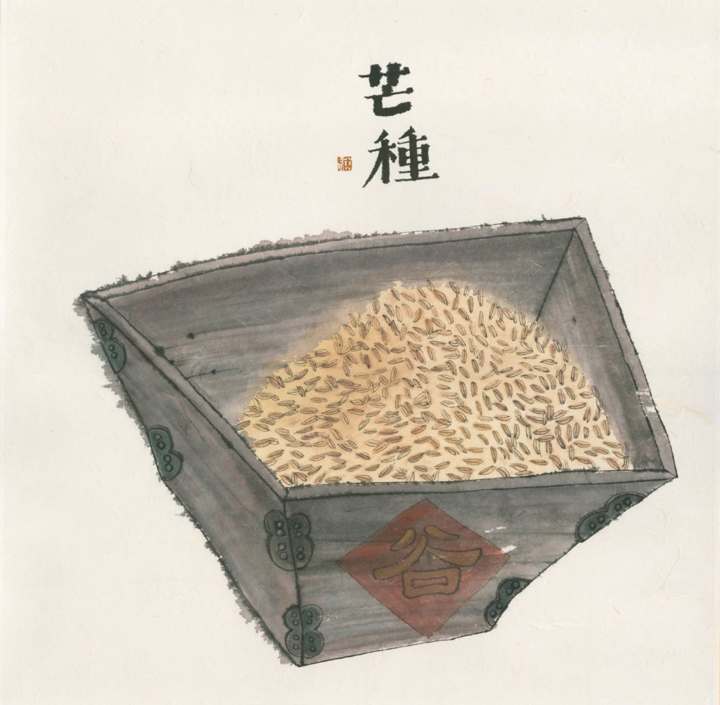 李知弥 LI ZHIMI的作品