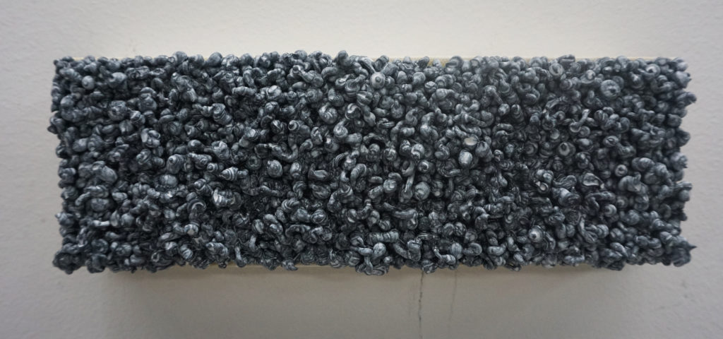 翟轩弘 ZHAI XUANHONG的作品