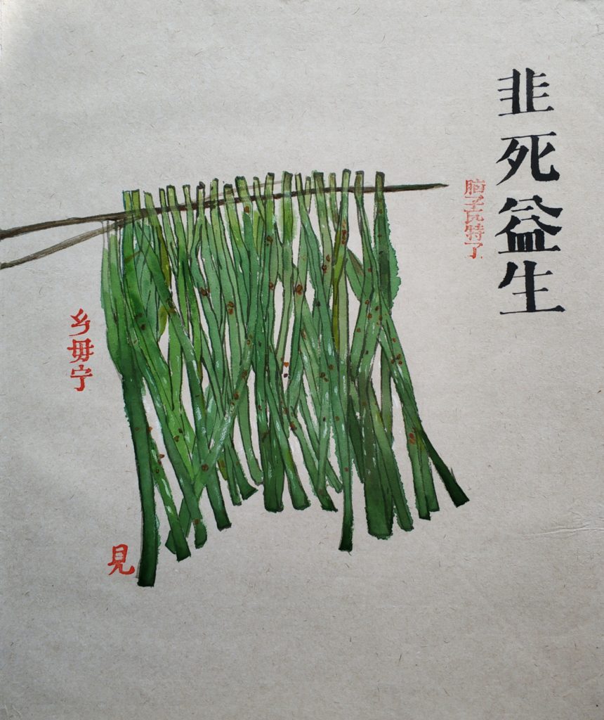 善见 SHAN JIAN的作品