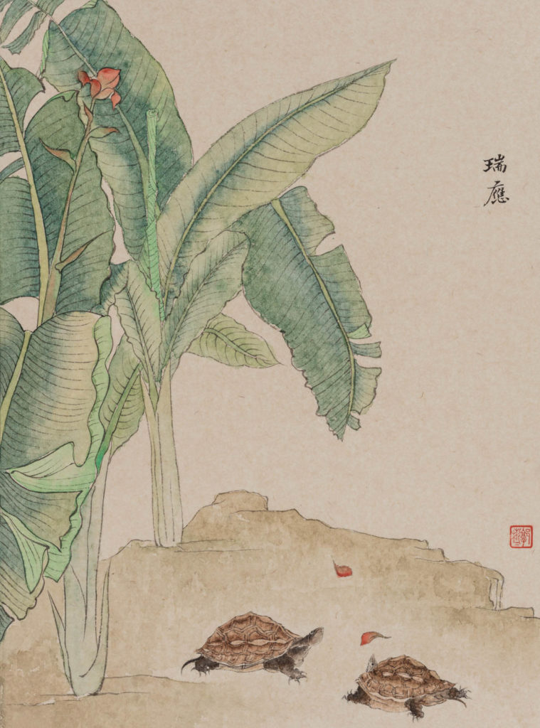 郭彬彬 GUO BINBIN的作品