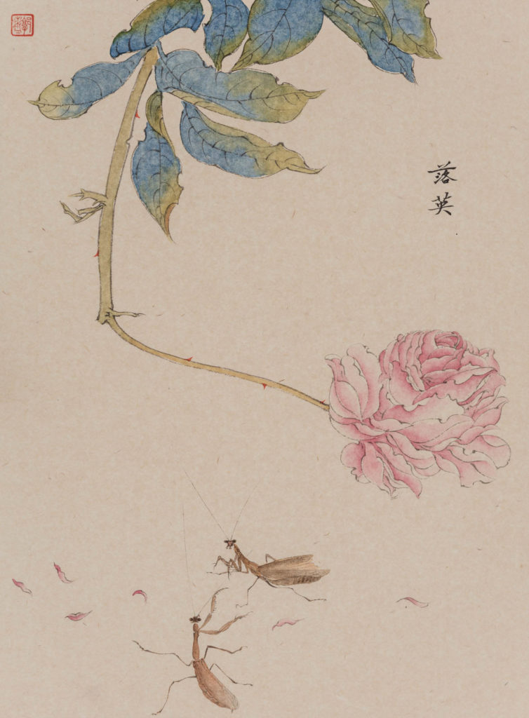 郭彬彬 GUO BINBIN的作品