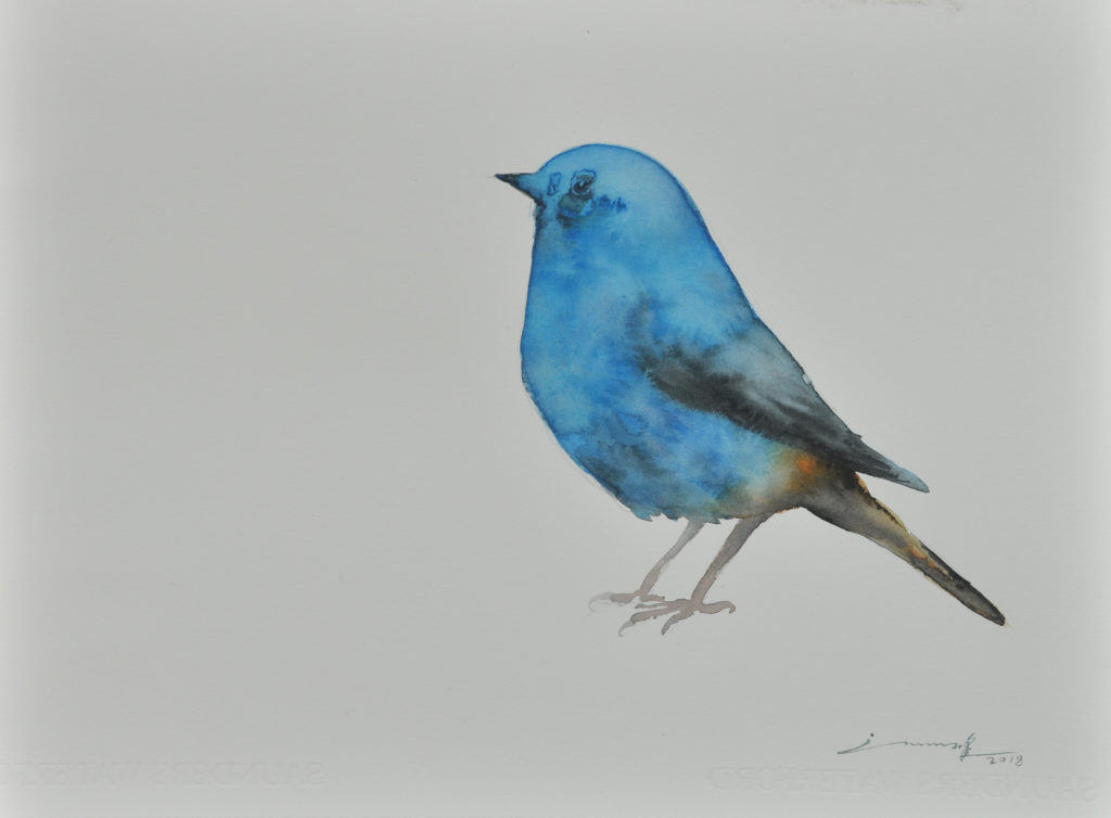 许峰 XU FENG的作品