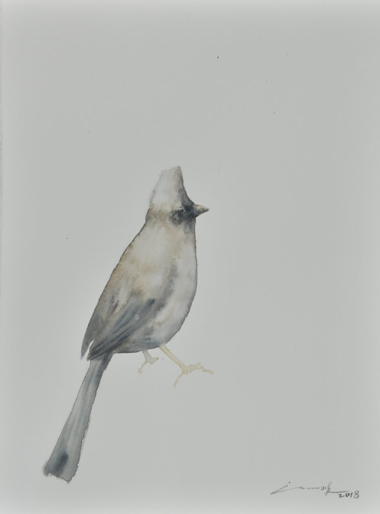 许峰 XU FENG的作品