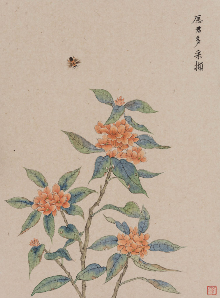 郭彬彬 GUO BINBIN的作品