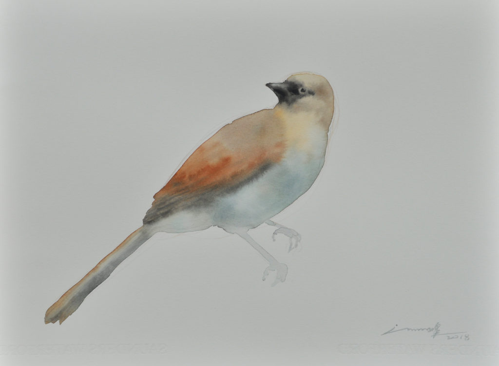 许峰 XU FENG的作品