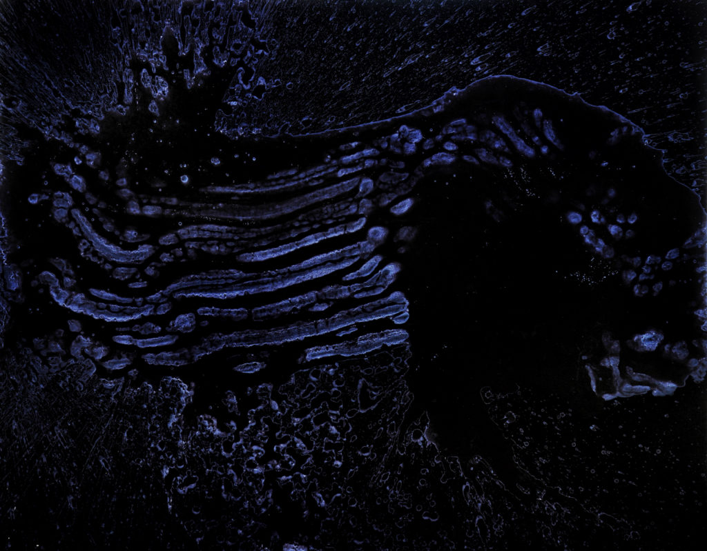 郝方圆 ATMAN ONE的作品