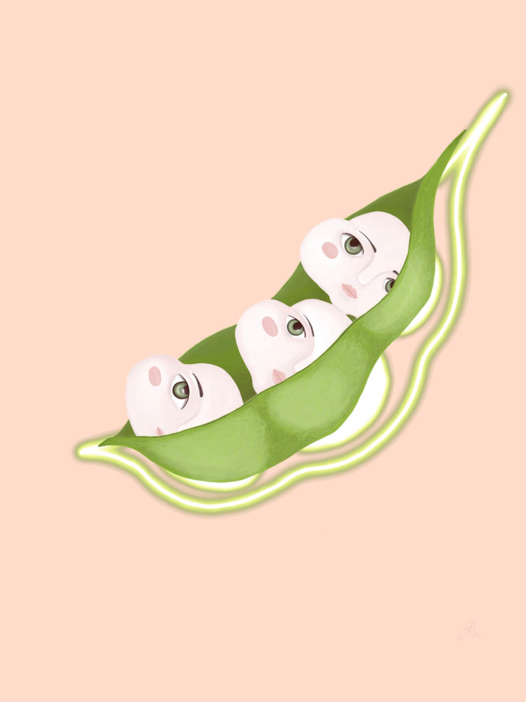 黄安琪 ANGELA HUANG的作品