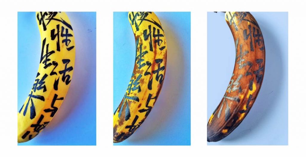 李东海 LI DONGHAI的作品