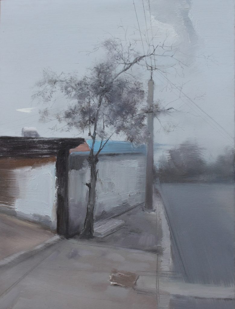 赵仕伟 ZHAO SHIWEI的作品