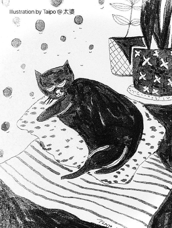 太婆 TAI PO的作品