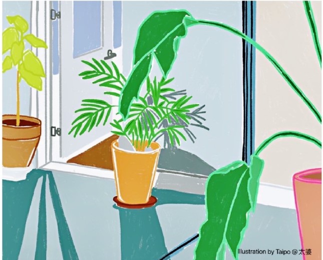 太婆 TAI PO的作品