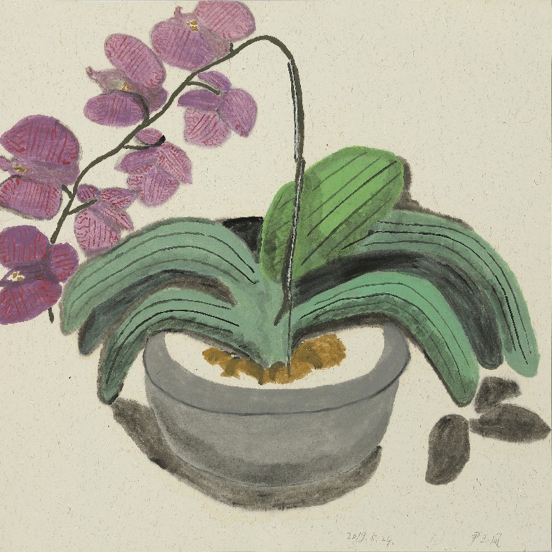 阿籽奶奶 A ZI的作品