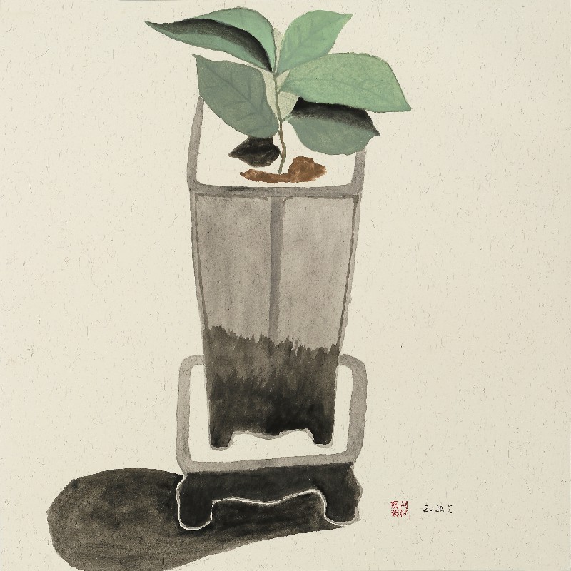 阿籽奶奶 A ZI的作品