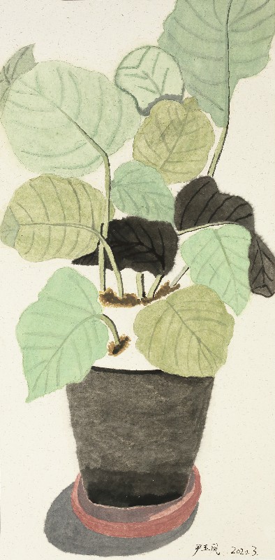 阿籽奶奶 A ZI的作品