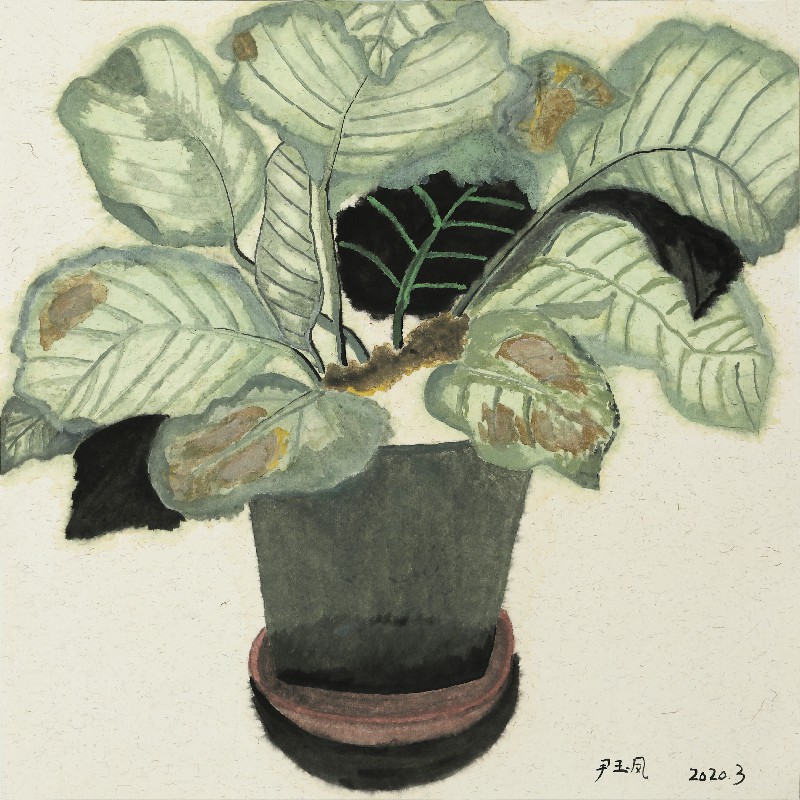 阿籽奶奶 A ZI的作品