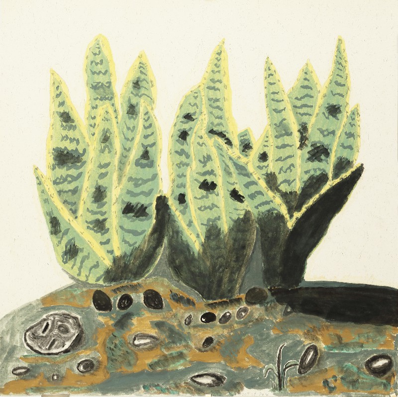 阿籽奶奶 A ZI的作品