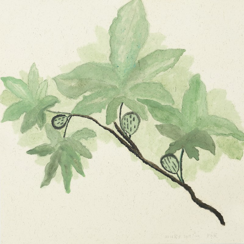 阿籽奶奶 A ZI的作品