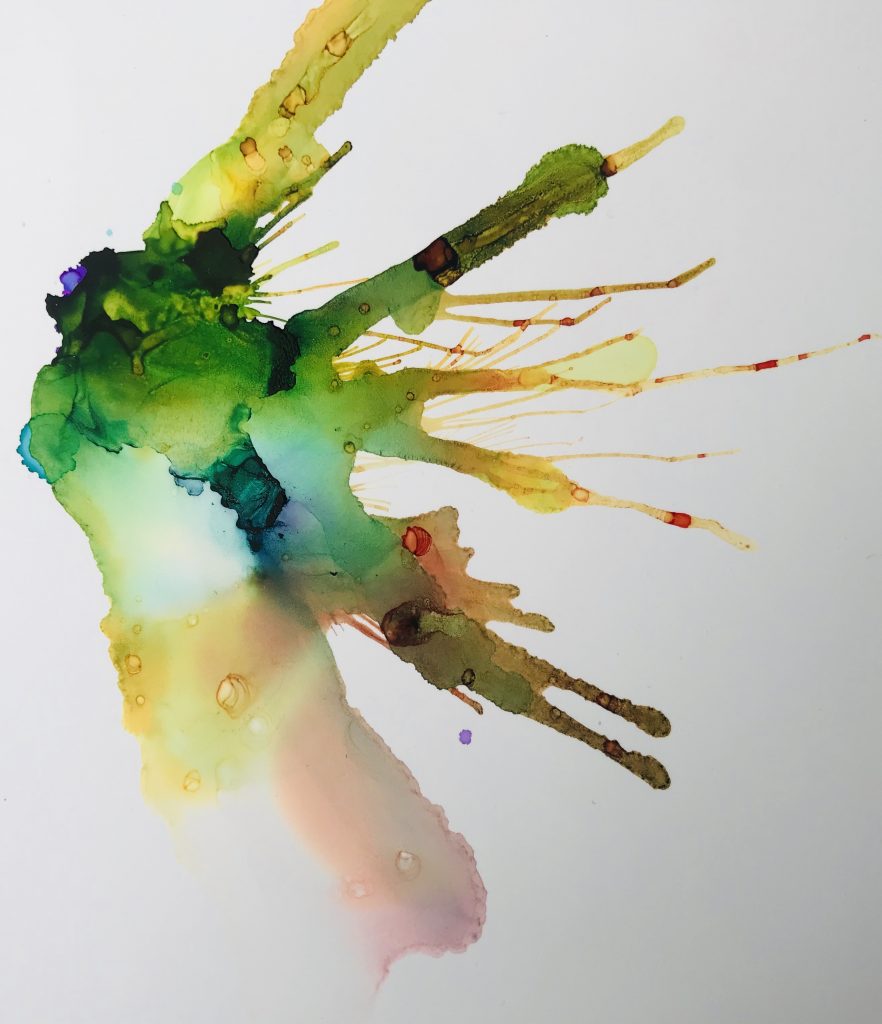 艾可儿 ECHO的作品