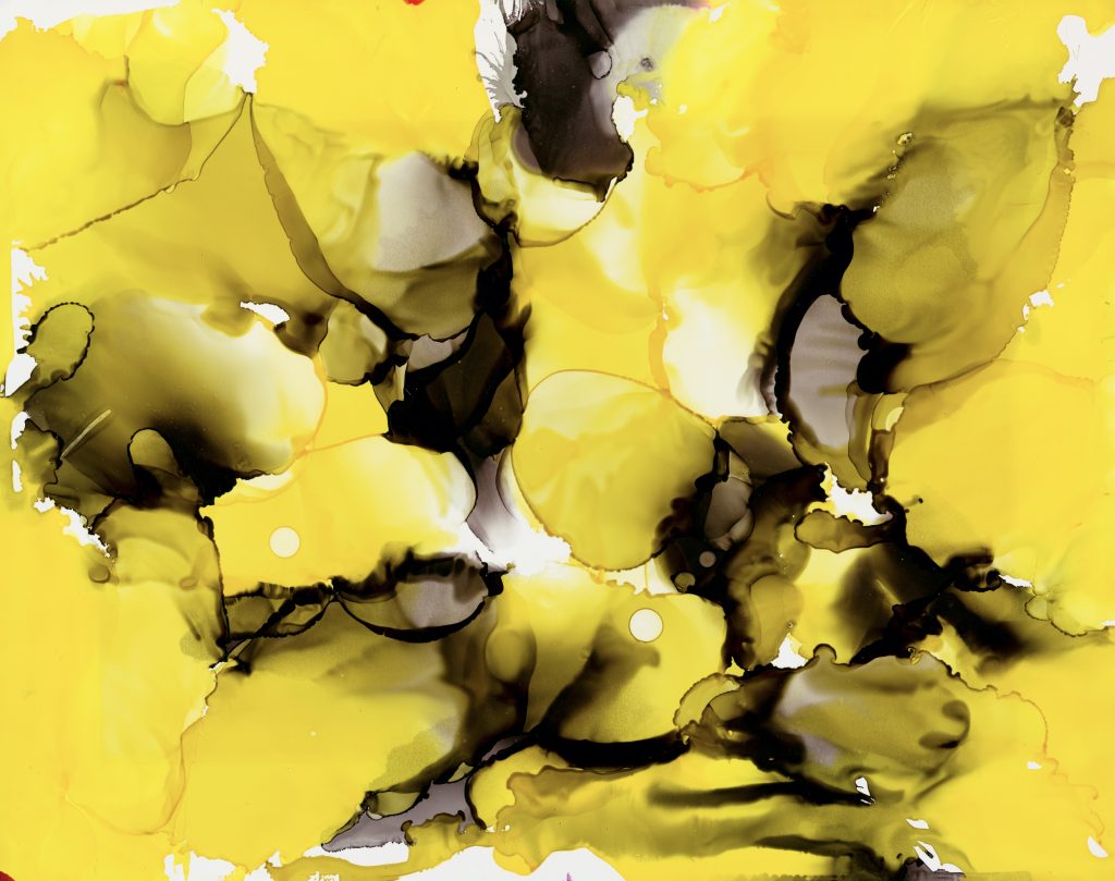 艾可儿 ECHO的作品