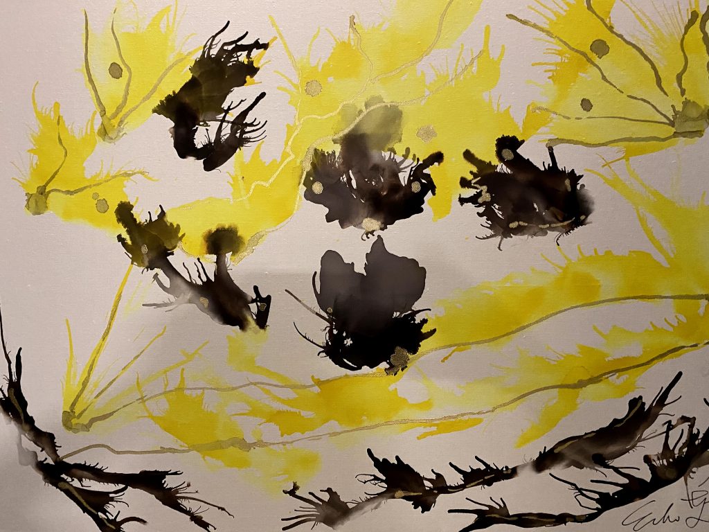 艾可儿 ECHO的作品