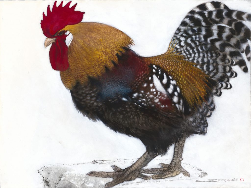 林顺雄 SUN LIN的作品