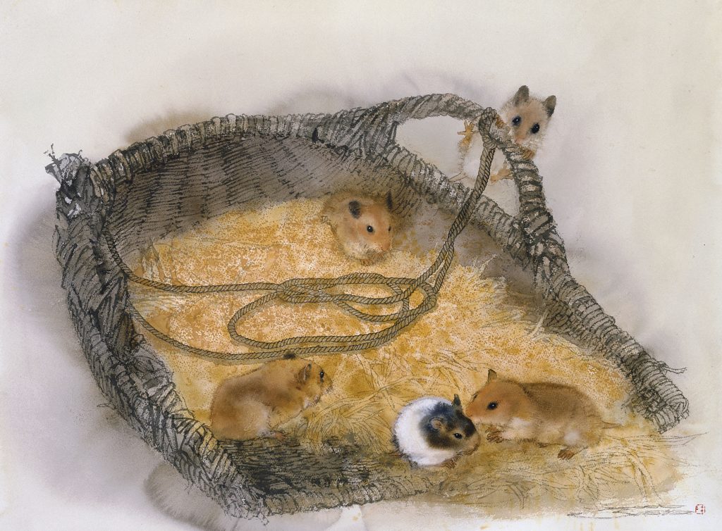 林顺雄 SUN LIN的作品