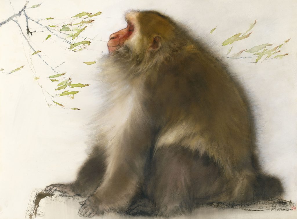 林顺雄 SUN LIN的作品