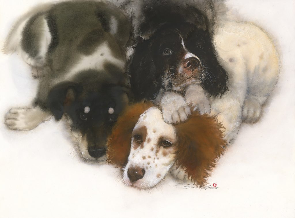 林顺雄 SUN LIN的作品