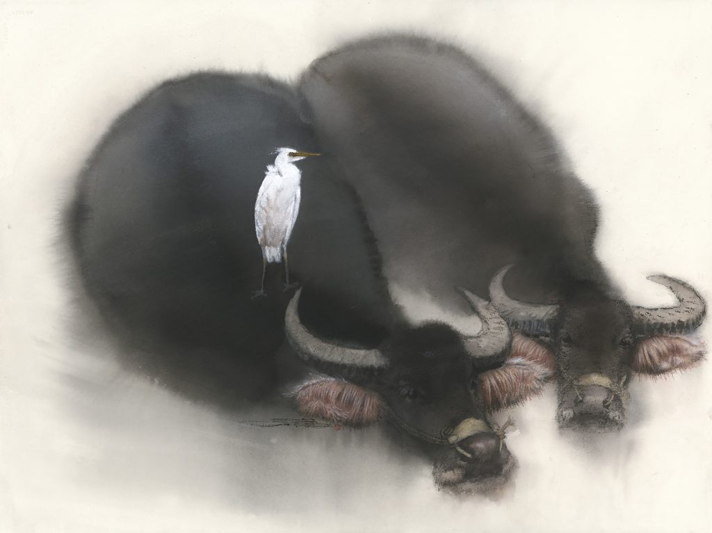 林顺雄 SUN LIN的作品