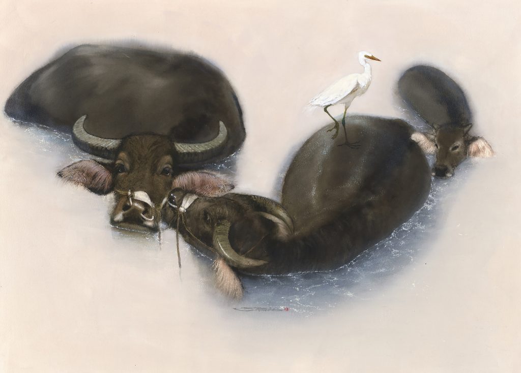 林顺雄 SUN LIN的作品