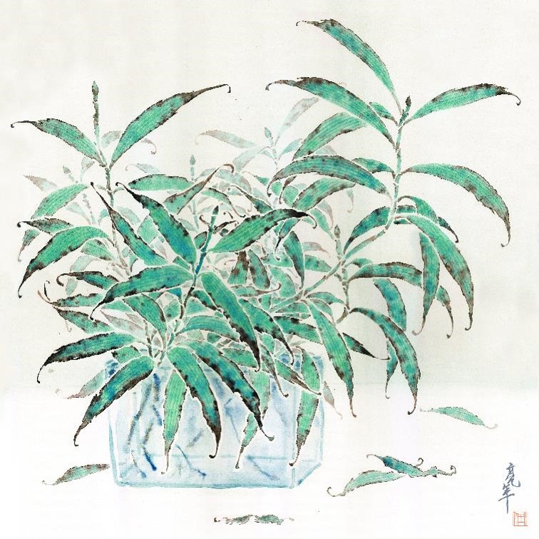 亮年 LIANG NIAN的作品