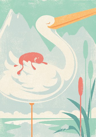 酣睡豆 THE SLUMBER BEAN的作品