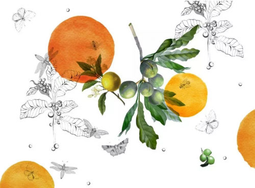 Miranda Xue 薛皓的作品