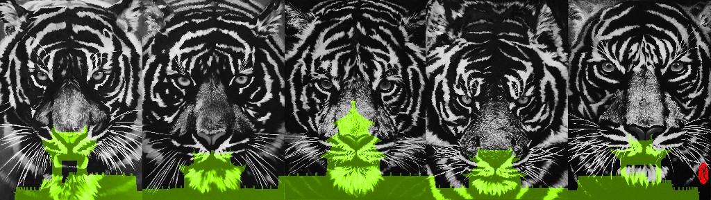 尤洋 YOU YANG的作品