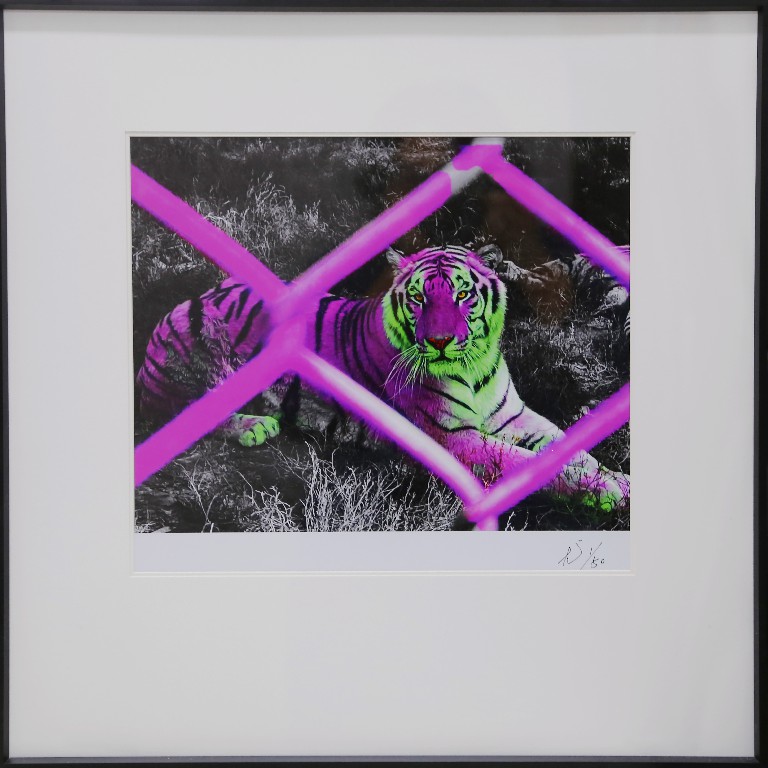 尤洋 YOU YANG的作品