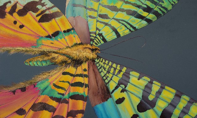 许华荣 XU HUARONG的作品