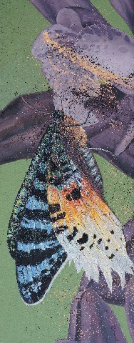 许华荣 XU HUARONG的作品