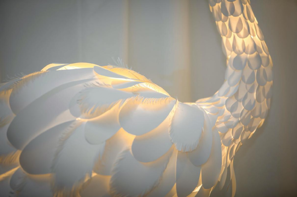 温秋雯 Small D的作品