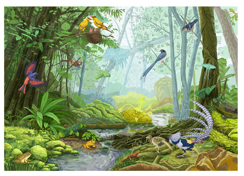 王宇达 WANG YUDA的作品