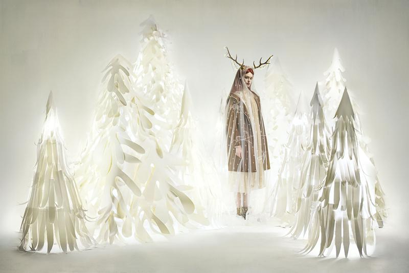 温秋雯 Small D的作品