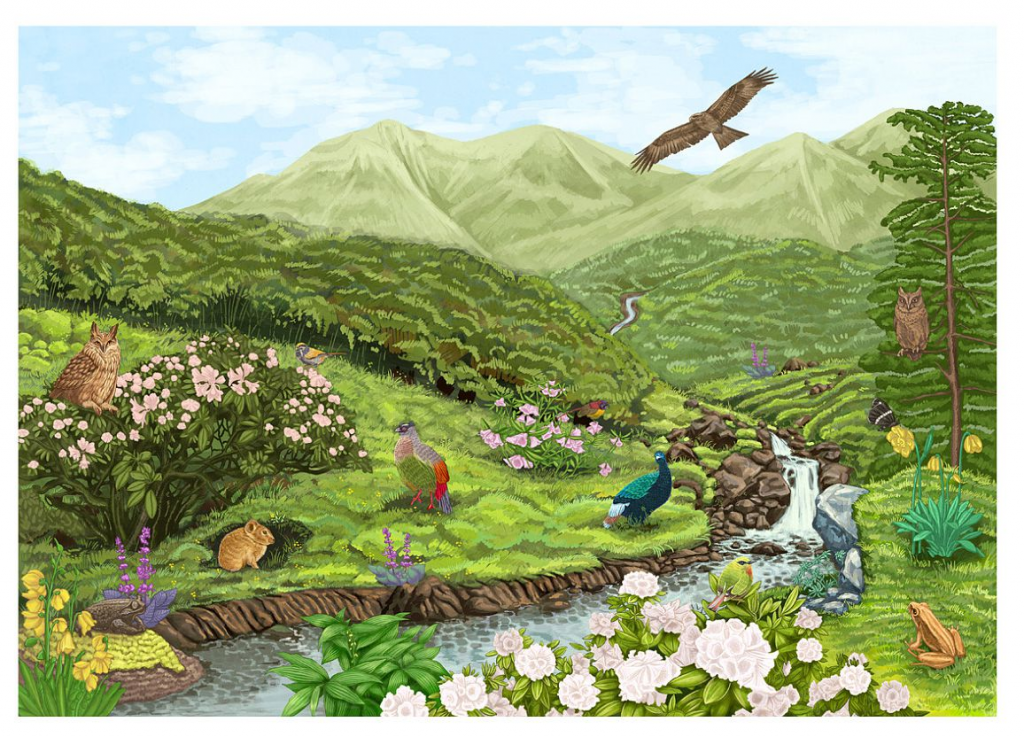 王宇达 WANG YUDA的作品