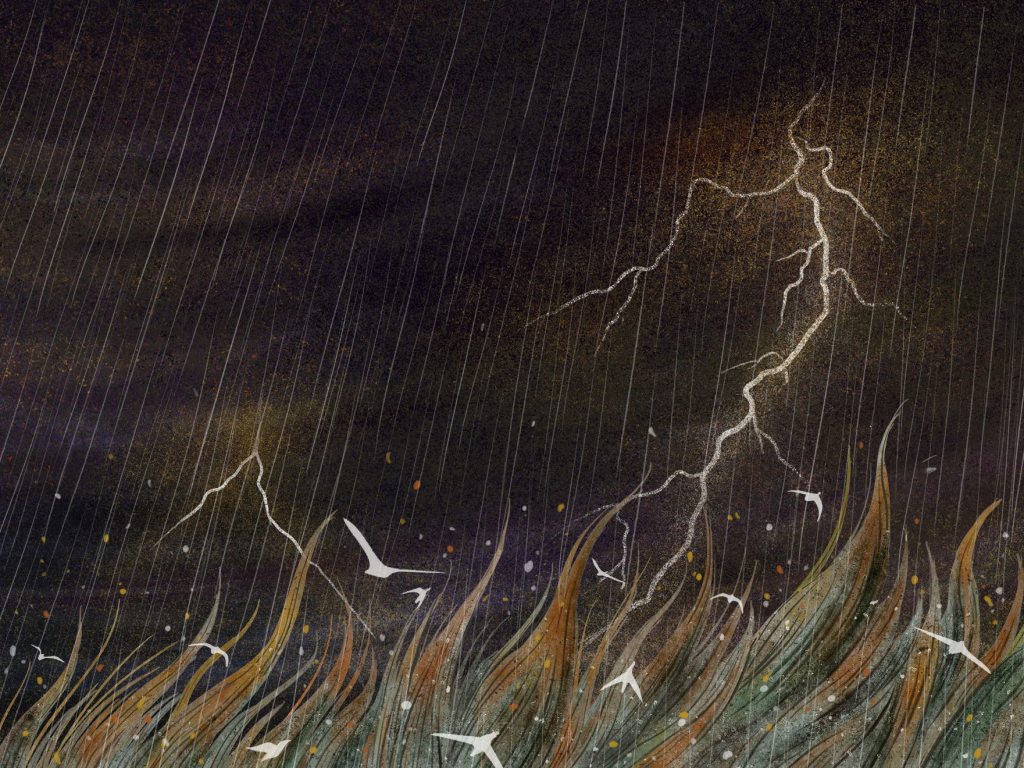 菲菲 FEI FEI的作品