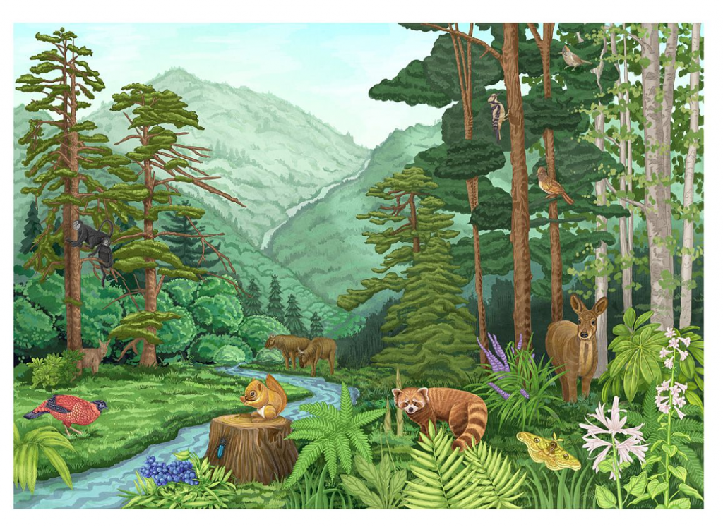 王宇达 WANG YUDA的作品